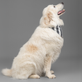 Load image into Gallery viewer, The Black-Tie Stripe Bandana