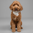 Load image into Gallery viewer, Riviera Linen Bandana