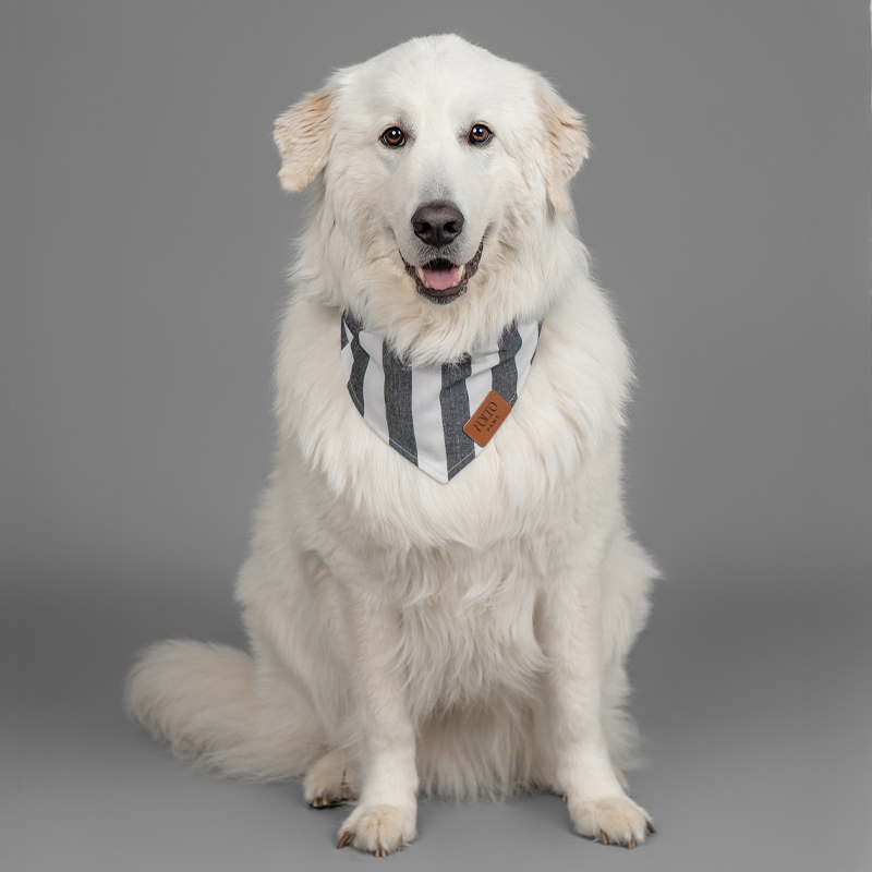 The Black-Tie Stripe Bandana