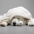 Load image into Gallery viewer, That One Blanket | Black
