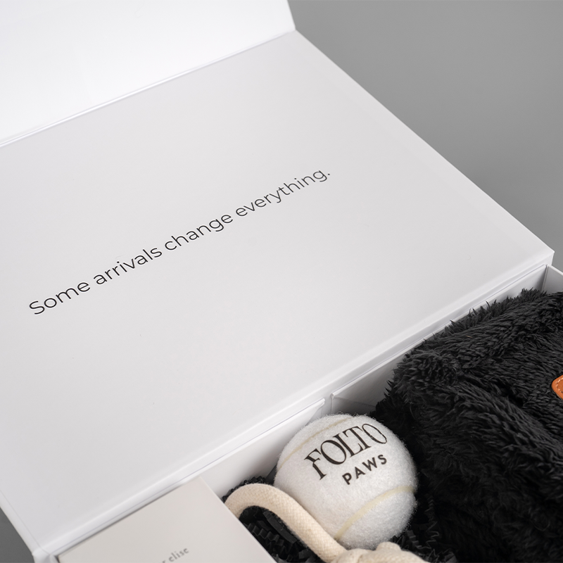 The Arrival Box