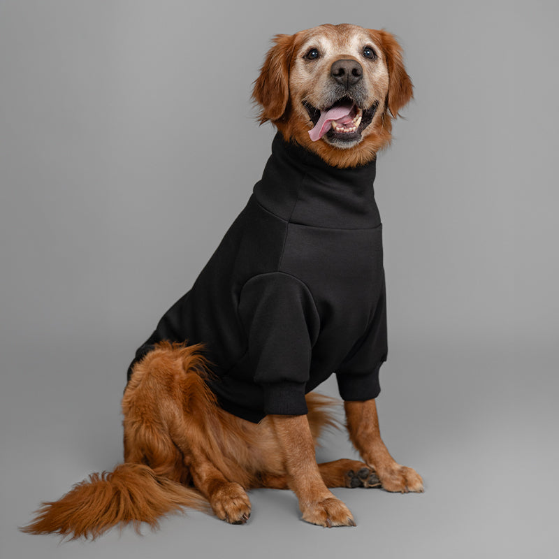 Golden Retriever wearing The Folto Essential black turtleneck for large dogs