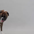 Load and play video in Gallery viewer, The Black-Tie Stripe Bandana
